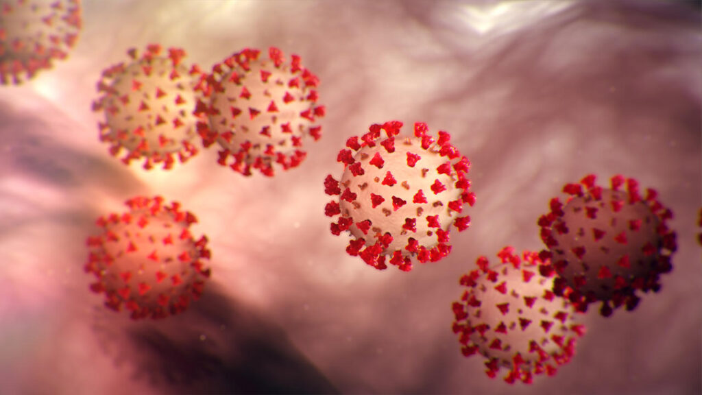 Coronavirus molecules floating in solution